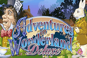 Fairy in Wonderland