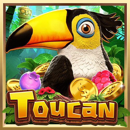 Toucan