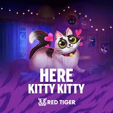Here Kitty Kitty