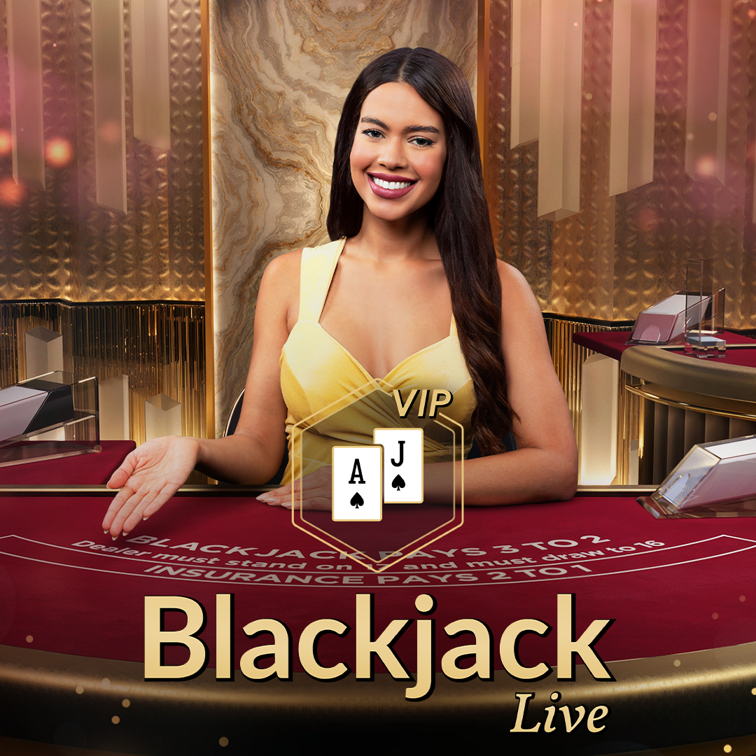 Blackjack VIP 13