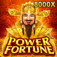 POWER FORTUNE